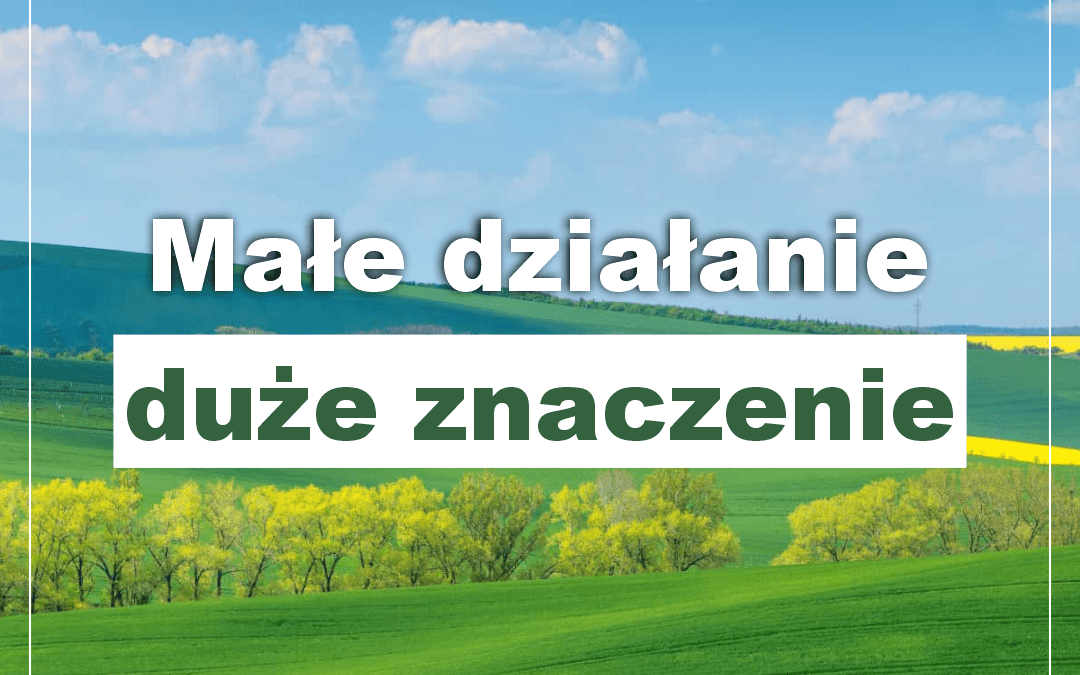 13.02.2022 – Omówione aktywności dotyczących działań w ramach realizacji projektu „Małe działanie-duże znaczenie”