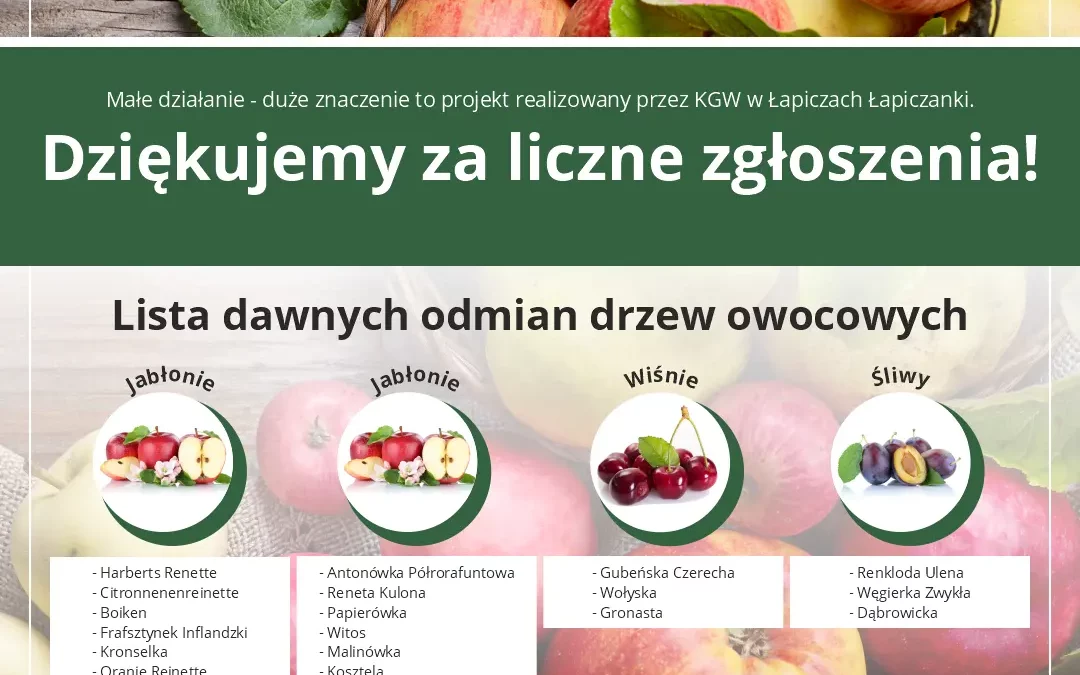 Lista zgłoszeń do projektu „Małe działanie – duże znaczenie” – zakładanie ogrodów przydomowych z dawnymi odmianami drzew owocowych i krzewów, została zamknięta.