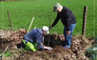 Sadzenie otrzymanych od KGW w Łapiczach sadzonek drzew
