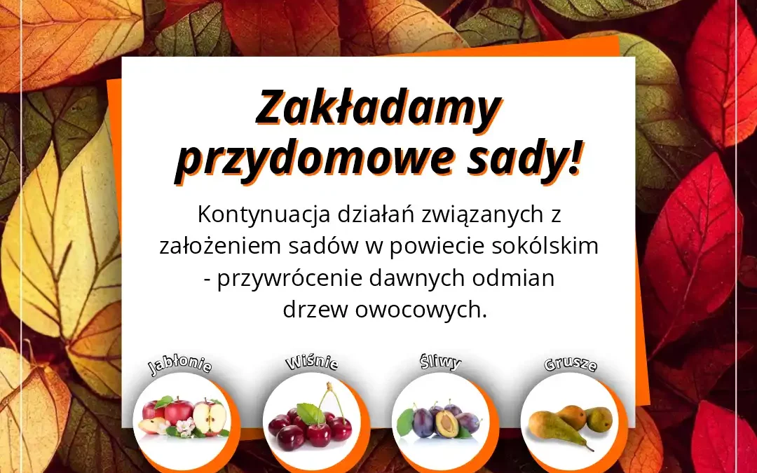 Zakładamy przydomowe sady – kontynuacja działań