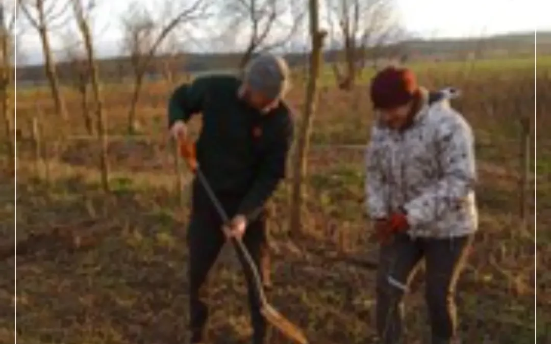 Kontynuacja działań związanych z realizacją przydomowych sadów