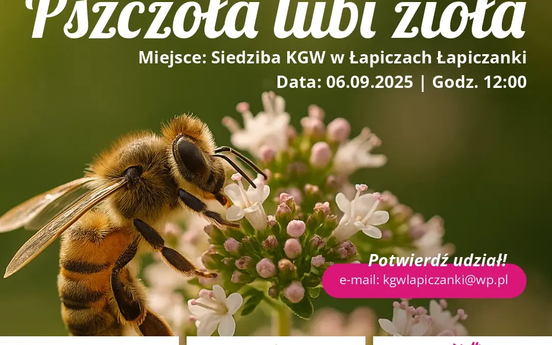 „Pszczoła lubi zioła”!